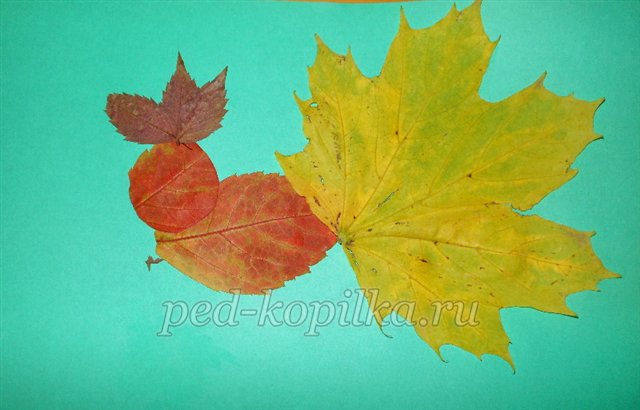 Аплікація з осіннього листя для дітей раннього дошкільного віку
