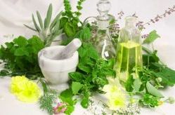 Як приготувати лікарські препарати з рослин у домашніх умовах