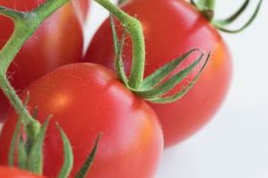 Форми росту томатів