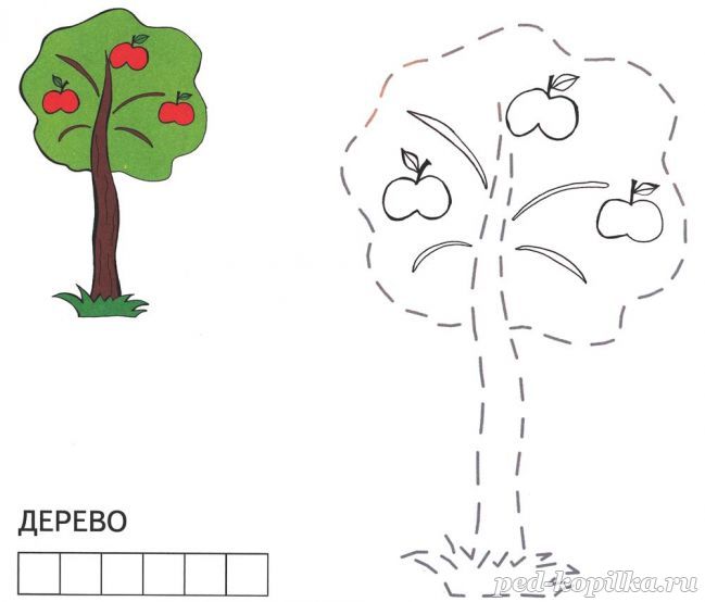 Розмальовка Дерево