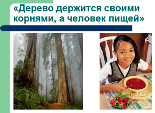 матеріали до уроку