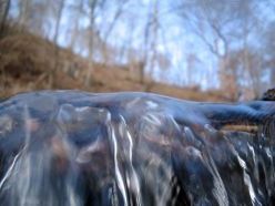 Вірші про весну. Весняні води. Ф. В. Тютчев