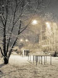 Оповідання для дітей про природу. Перший сніг