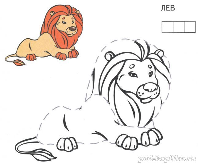 Розмальовка. Лев