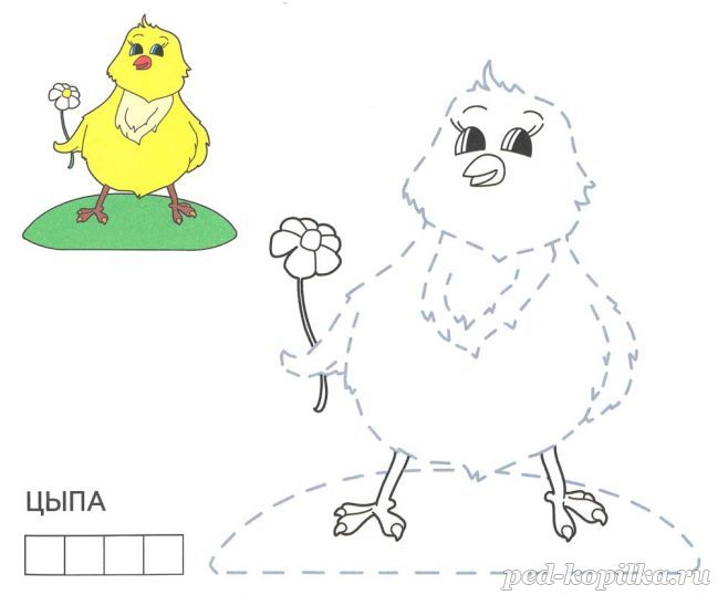 Розмальовка. Ципа