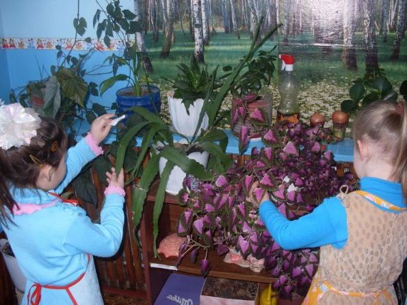 Діти люблять доглядати за квітами у дитячому садку