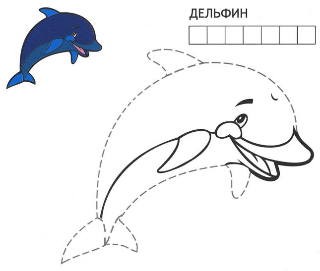 Розмальовка. Дельфін