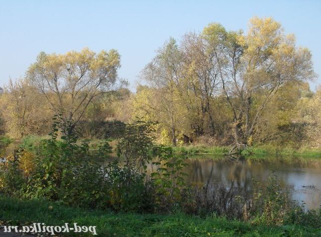 Осіння тиша