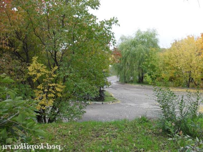 Фарби ранньої осені