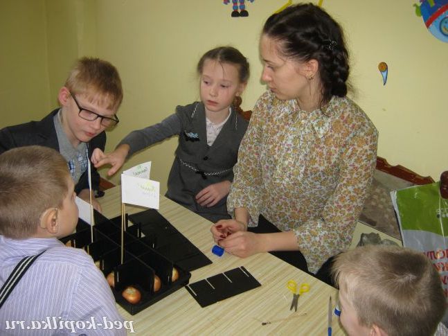 Садимо цибулю!