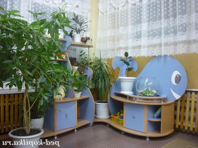 Куточок природи
