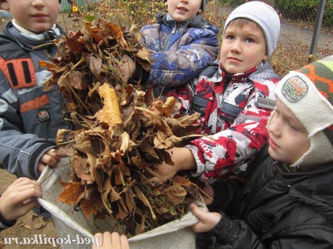 Як же багато листя накидала осінь.