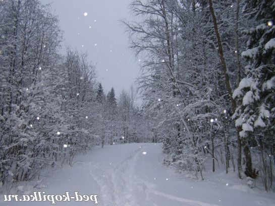 Зимові доріжки