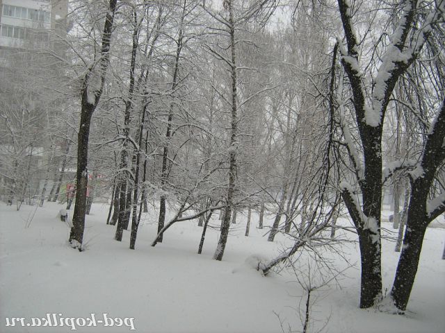 Краса....