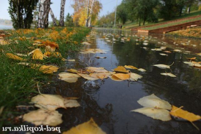 Осінь у моєму місті