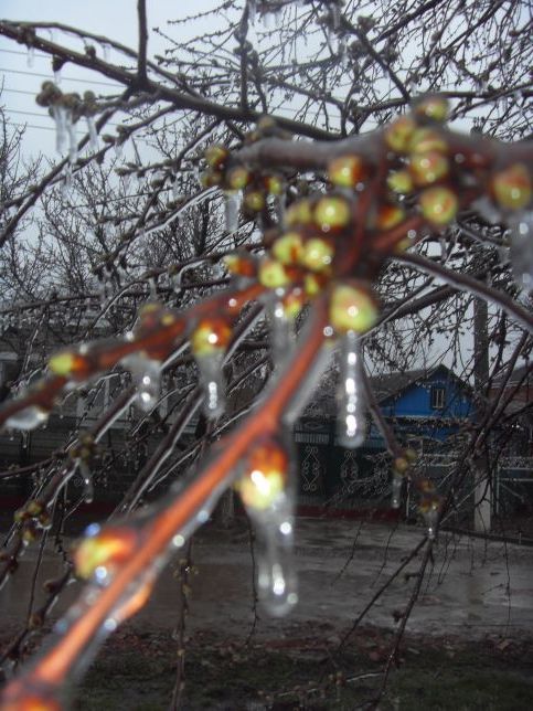 Весняні несподіванки