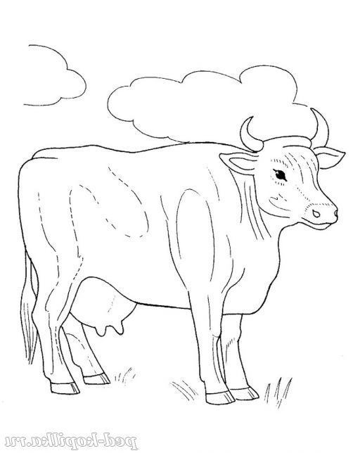 Корова