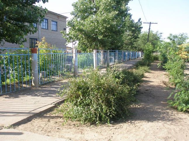 Центральна алея школи