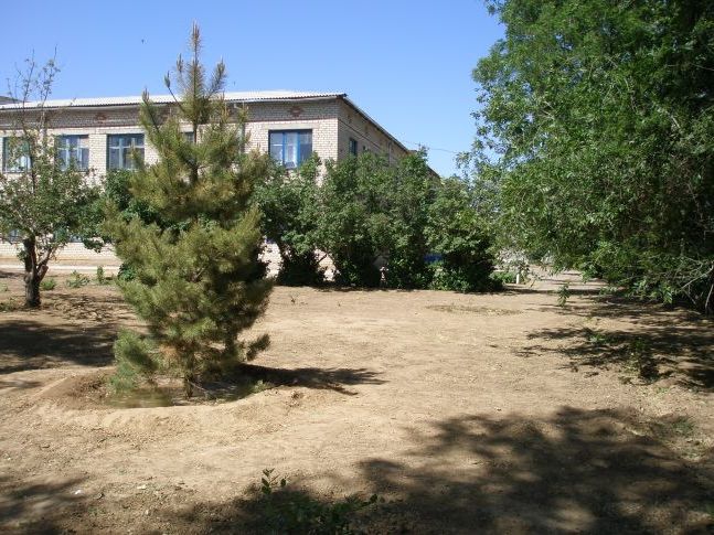 Лісова красуня скромно сховалася серед акацій