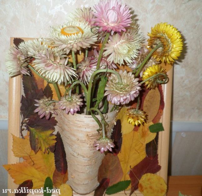 Улюблені квіти