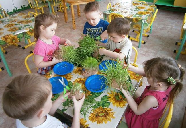 Екологічне виховання в дитячому садку