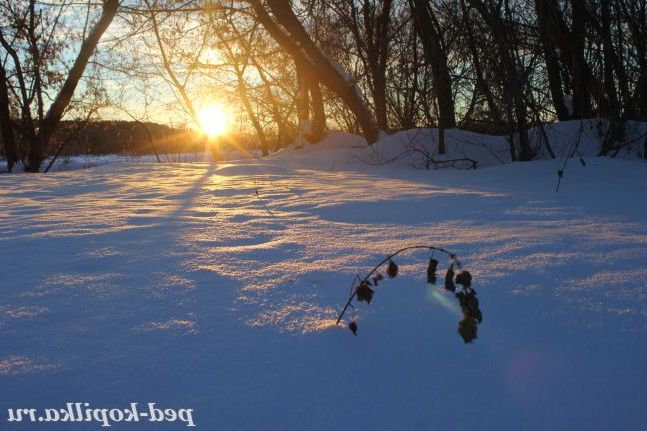 Самотність