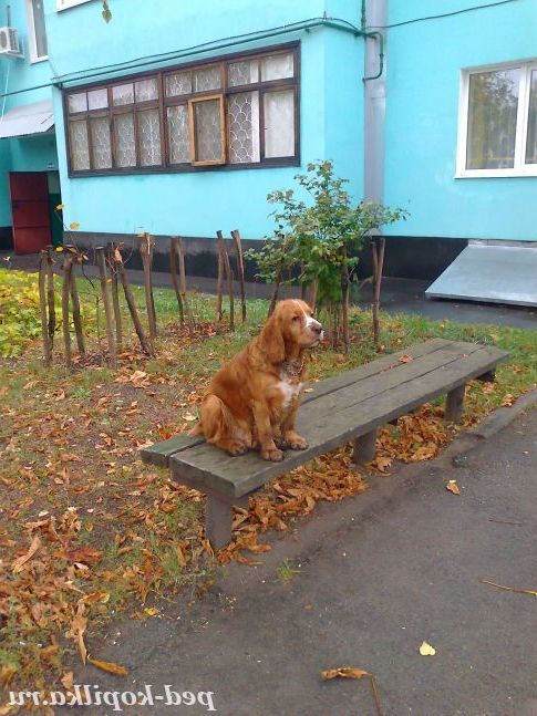 Солідний вік