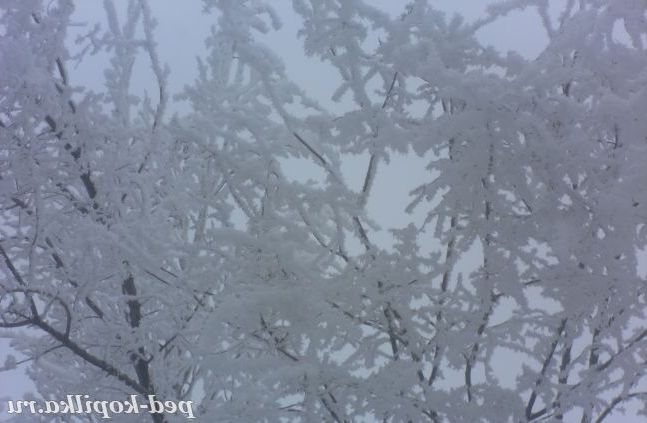 Снігова казка