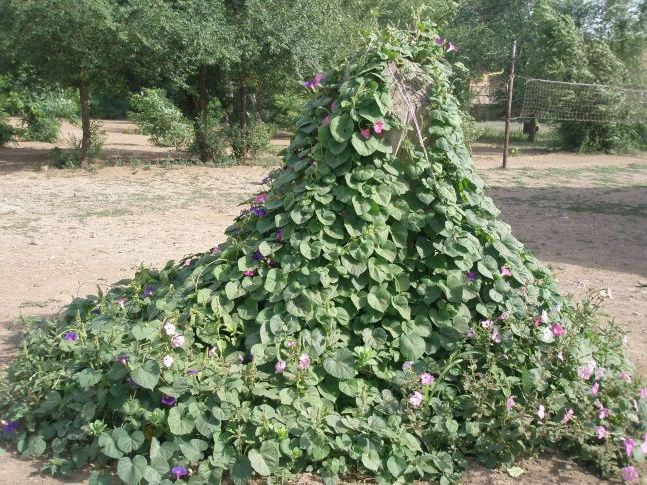 Незвичайна гірка