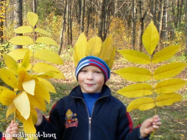 Осінній наряд.