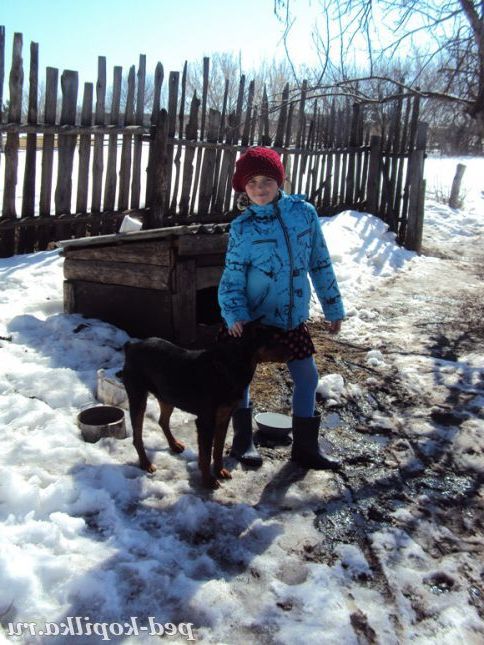 Жучок і внучка