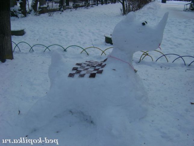 Носоріг