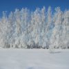 Краса зимової російської природи!