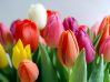 8 березня. Сценарій для початкової школи