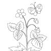 Розмальовки. Літня ягода