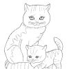 Кішка і кошеня