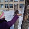 Акція 