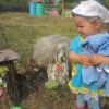 гості з лісу