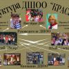 Дитяча шкільна громадська організація (ДШОО) 