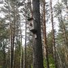 В очікуванні господаря