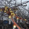 Весняні несподіванки