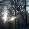 Зимове сонце.