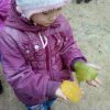 Спостереження за осінньої гаєм