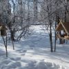 Годівниці для птахів
