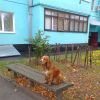 Солідний вік