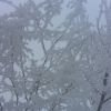 Снігова казка