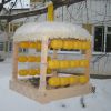 Годівниця