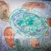 Малювання морської черепахи