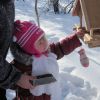 Птахи-наші друзі
