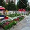 Квітник
